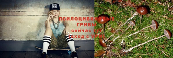 гидра Покров